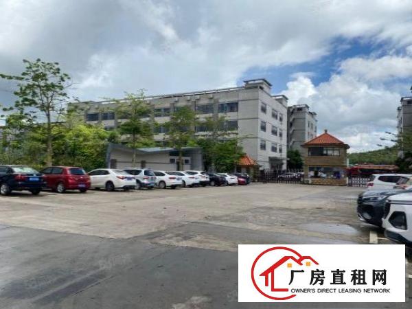  茶山竹园山工业园2万平厂房出租精装修一楼仓房500平起分租