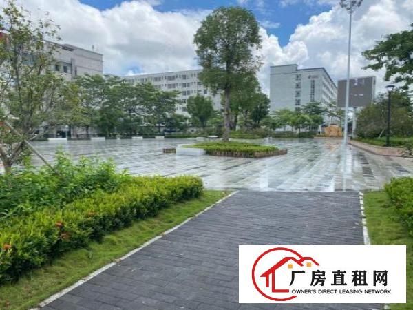  茶山竹园山工业园2万平厂房出租精装修一楼仓房500平起分租