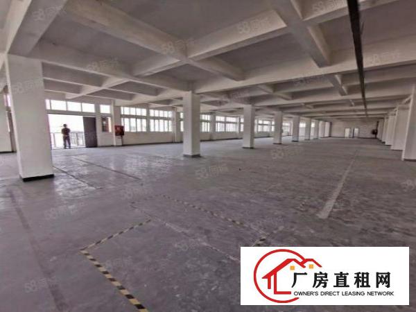  证件齐全空地大茶山镇原房东新出独院厂房2000平方出租