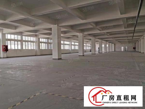  证件齐全空地大茶山镇原房东新出独院厂房2000平方出租