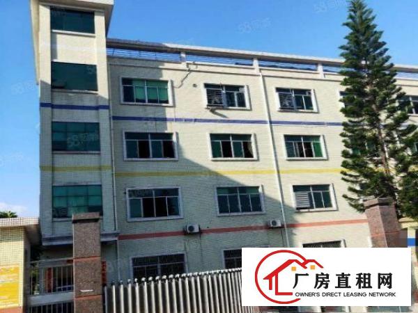  茶山镇增步工业区一楼1200平一楼带消防喷淋