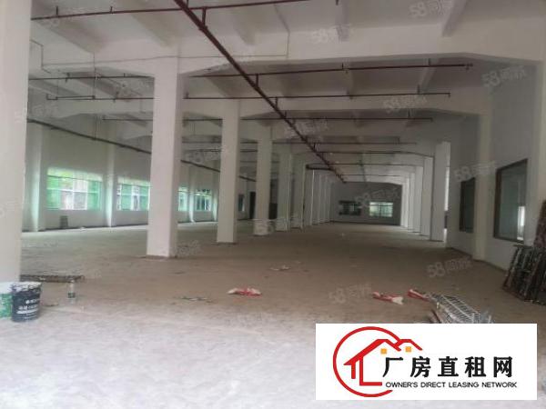  茶山镇增步工业区一楼1200平一楼带消防喷淋