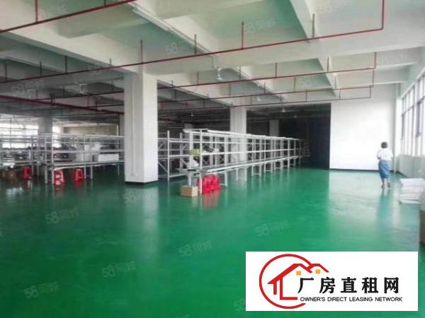  小独院6900平方，厂房3层4630平方，铁皮600平方