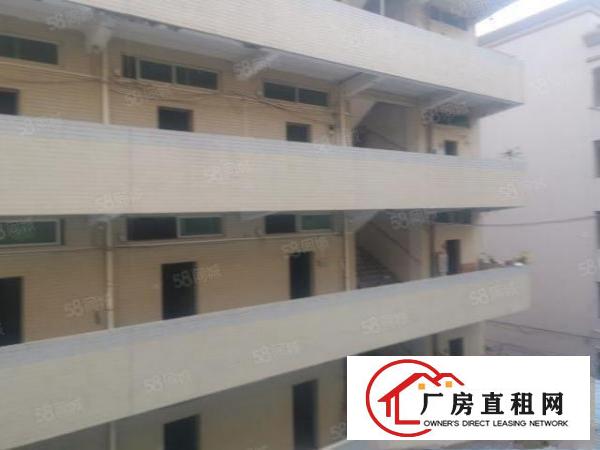  茶山新出独门独院厂房9300平可分租厂房办公楼宿舍各一栋