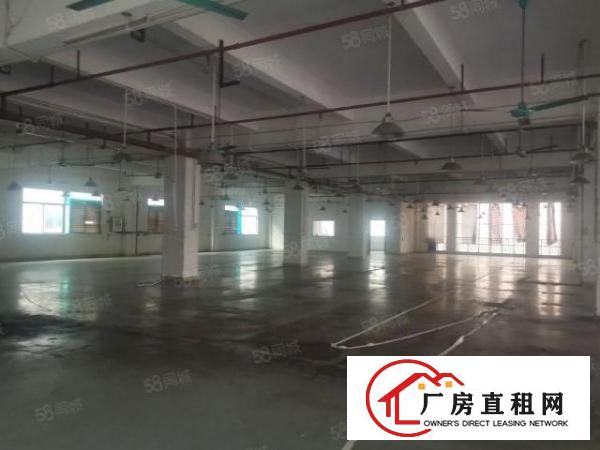  茶山新出独门独院厂房9300平可分租厂房办公楼宿舍各一栋
