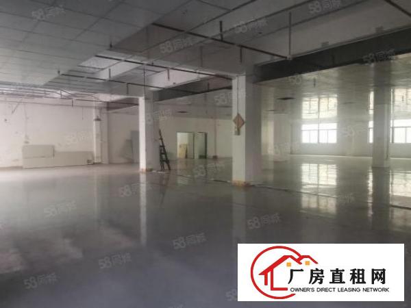 茶山新出独门独院厂房9300平可分租厂房办公楼宿舍各一栋