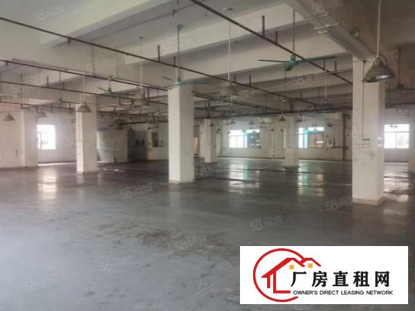  茶山新出独门独院厂房9300平可分租厂房办公楼宿舍各一栋