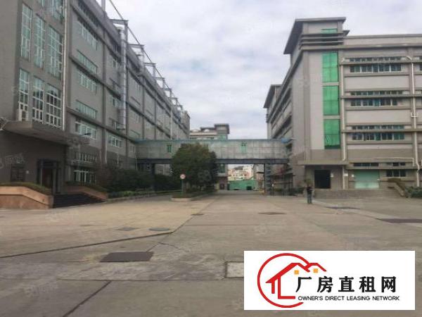  茶山镇新出原房东独院厂房分租楼上1500平，带装修