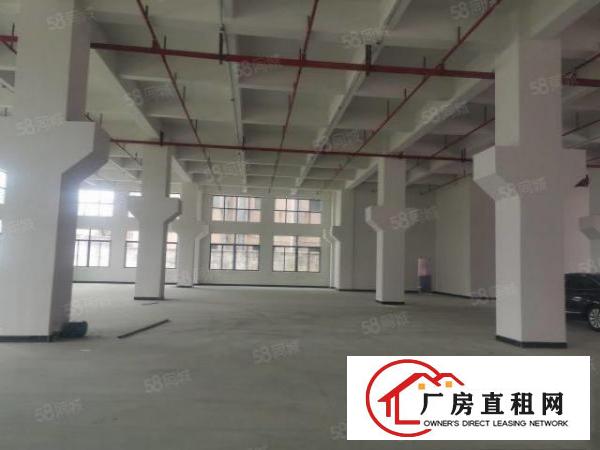  茶山超朗全新重工业独门独院厂房7层17000平消防喷淋全部有