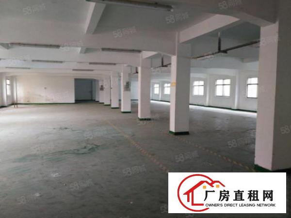  东莞茶山新出标准厂房分租二楼1320平方出租