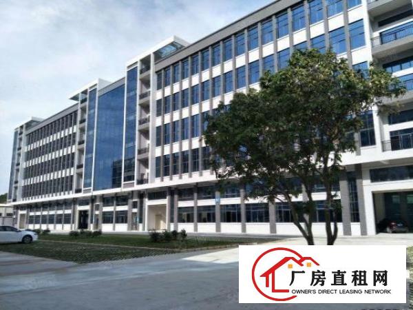  茶山镇独栋厂房出租二楼2500平方招租