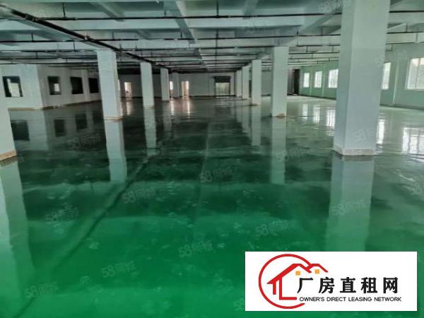  茶山镇独栋厂房出租二楼2500平方招租