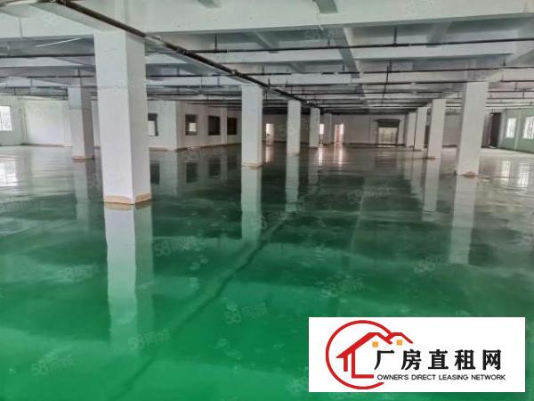  茶山镇独栋厂房出租二楼2500平方招租