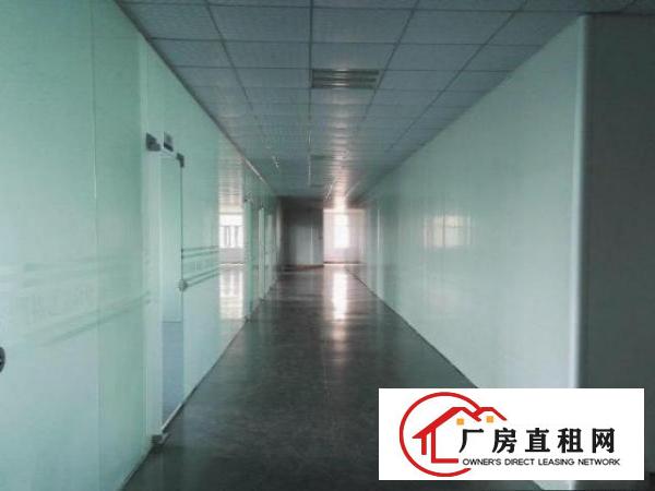  石排沙角原房东标准厂房4楼450平米出租，带红本