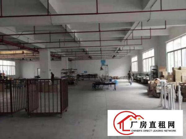  石排向西原房东分租楼上400~~800平方(可办环评）