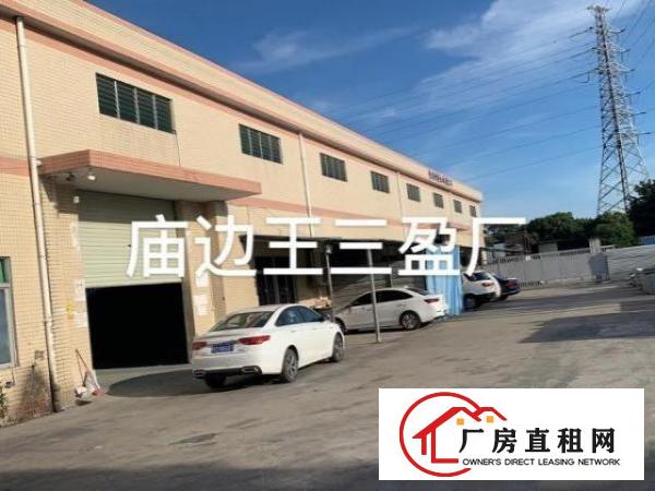  单一层独院厂房，砖墙到顶，宿舍按需