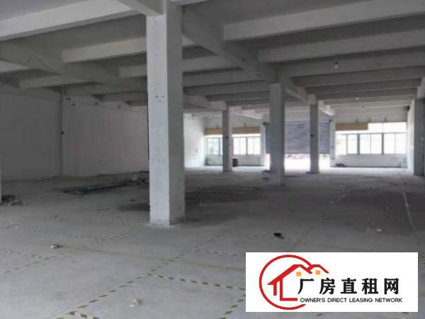  石排田边村一楼800平方厂房出租配有员工宿舍可办环评