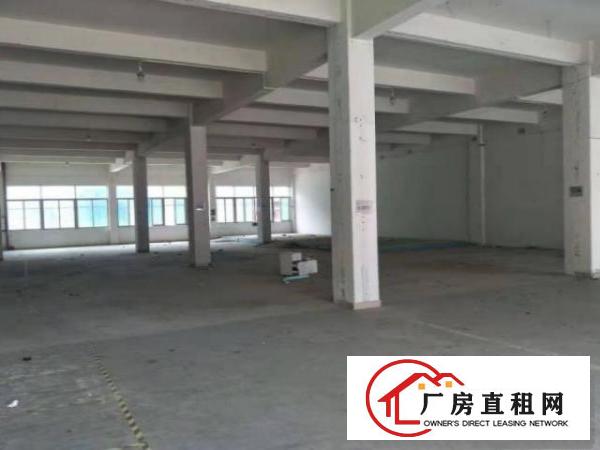  石排田边村一楼800平方厂房出租配有员工宿舍可办环评