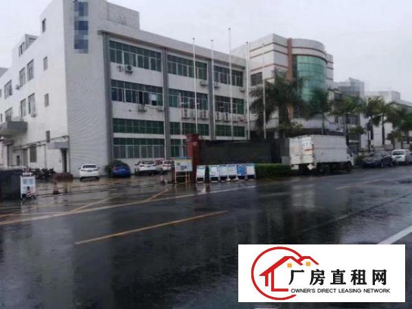  石排福隆一楼厂房1200平方招租水电齐全