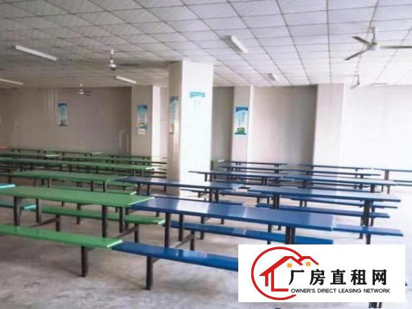  石排谷吓正规工业区单一层厂房600平高6米，可办环评