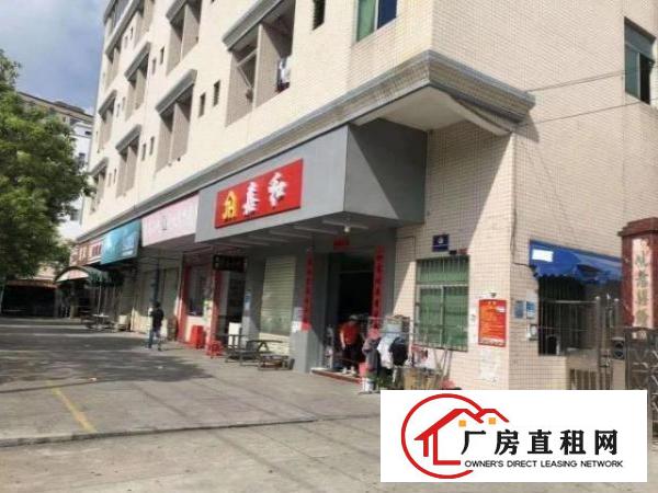  石排独门独院标准厂房带行车