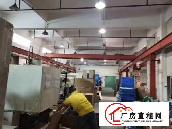  石排独门独院标准厂房带行车