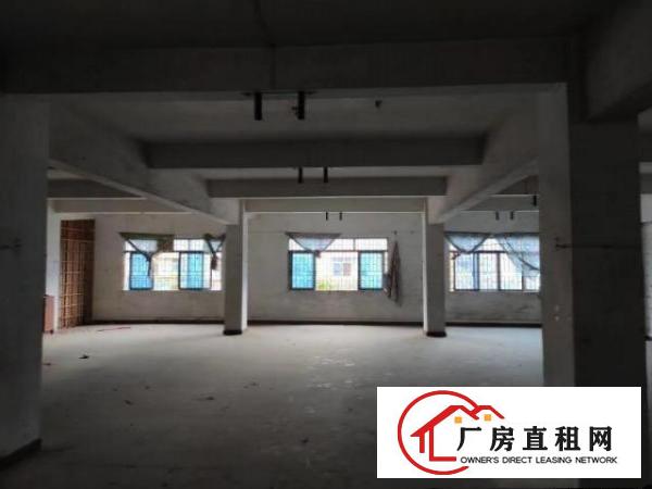  埔心二路二三楼招租共800平方