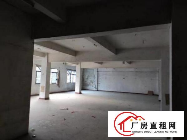  埔心二路二三楼招租共800平方