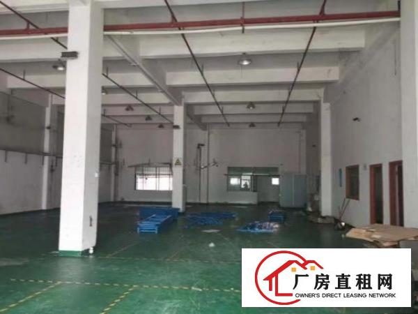  石排向西村标准厂房分租一楼1100平方