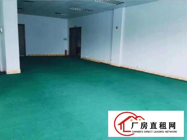  石排沙角新出楼上精装厂房800平无公摊厂房出租，拎包入住