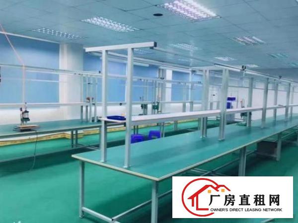  石排沙角新出楼上精装厂房800平无公摊厂房出租，拎包入住