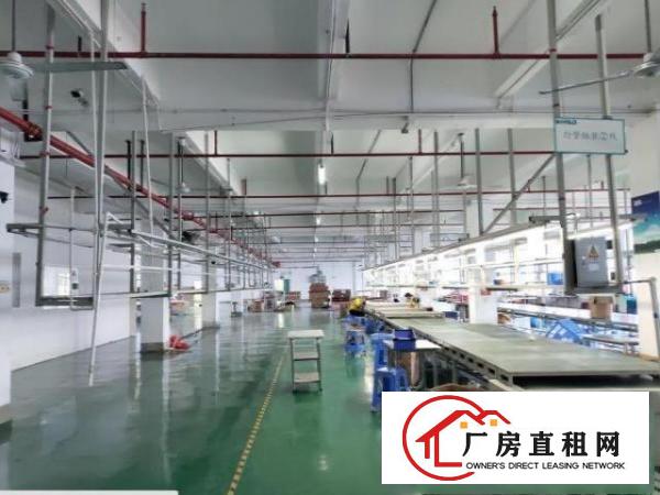  石排福隆二楼带装修厂房300~2300平可分租，可办环评