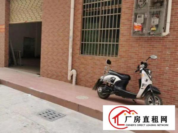  原房东新厂房随时看房