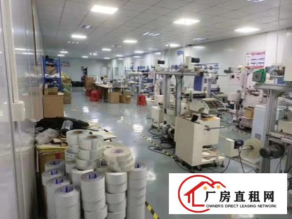  出租石排镇石排500平方厂房，价格便宜，可分，大小均有