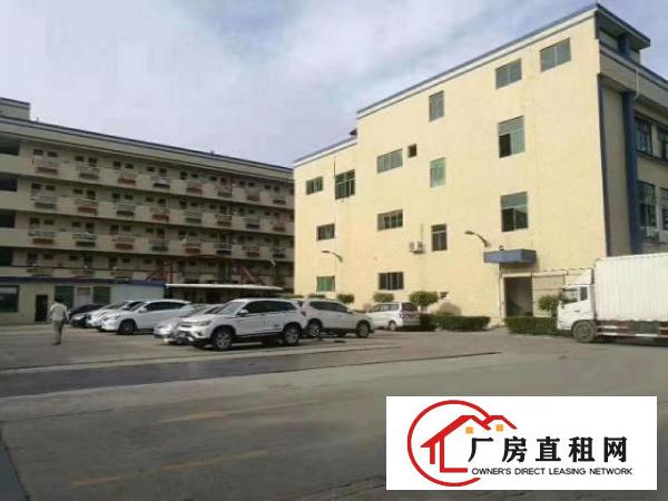  出租石排镇石排500平方厂房，价格便宜，可分，大小均有