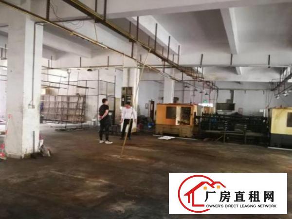  石排向西村厂房一楼带精装修办公室800平出租