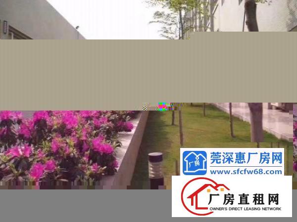  新出稀缺12米高单一层钢构厂房面积24000平方