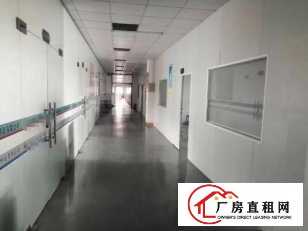  出租石排镇石排城区320平方现成装修水电齐全