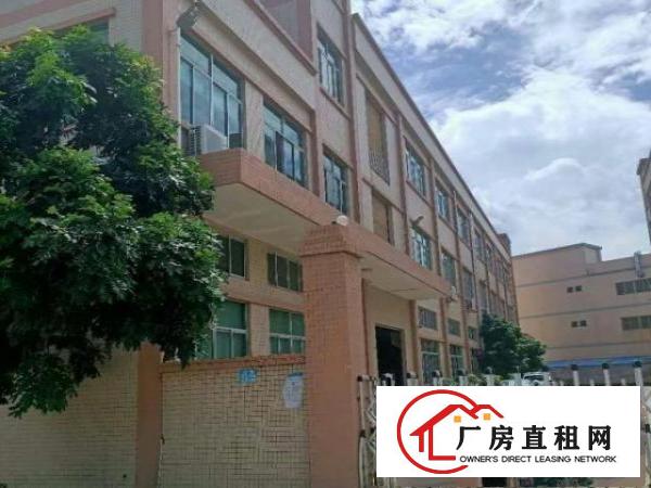  石排高速出口附近原房东带红本独院厂房8800平