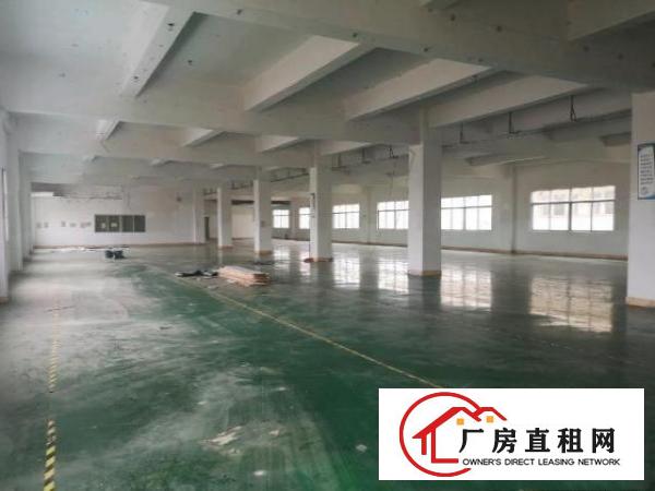  石排高速出口附近原房东带红本独院厂房8800平