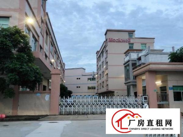  石排镇原房东分租主干道边厂房楼上一层1800平方米