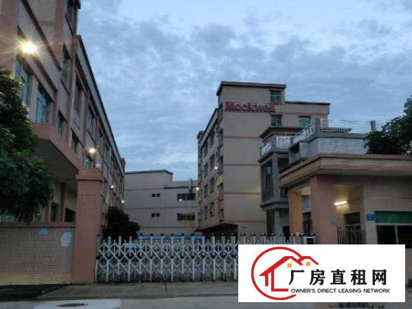  石排镇原房东分租主干道边厂房楼上一层1800平方米