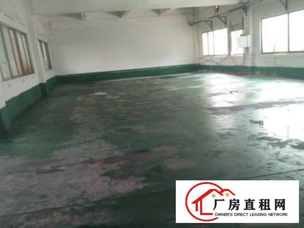  石排太和社区出租750平方现成装修厂房