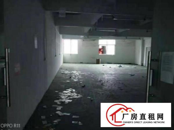  石排沙角村带装修办公室厂房800平出租