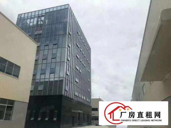  石排邻镇3.5万平滴水11米单层全新钢构20元出租，可分租