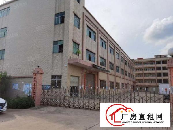  石排新出标准厂房，独门独院，价格12