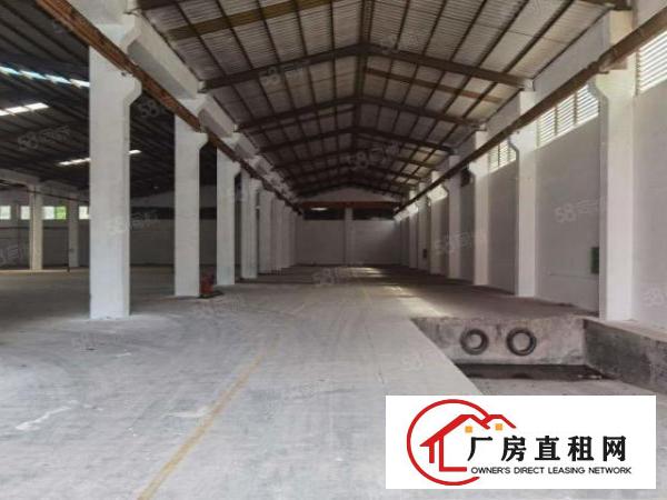  石排新出标准厂房，独门独院，价格12