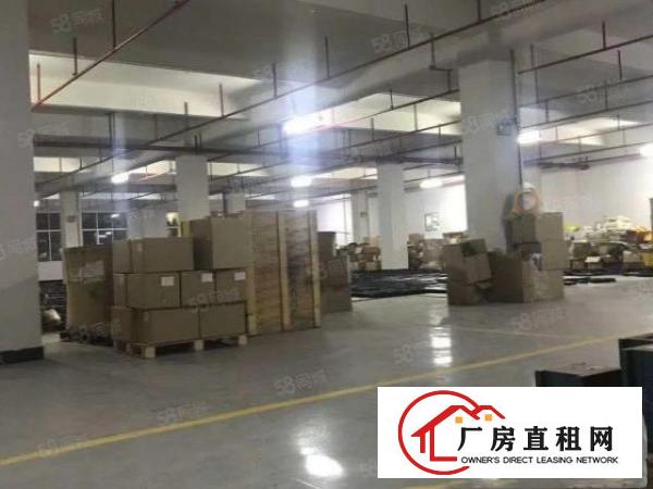  石排新出单一层原房东厂房800平带办公室。