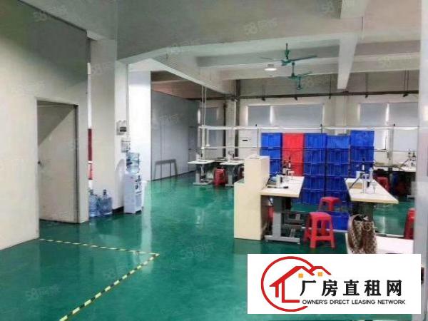  石排新出500平方厂房，现成装修，价格便宜