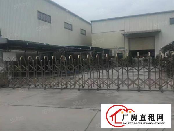  石排镇现空四个原房东独院单一层一超大空地，交通便利